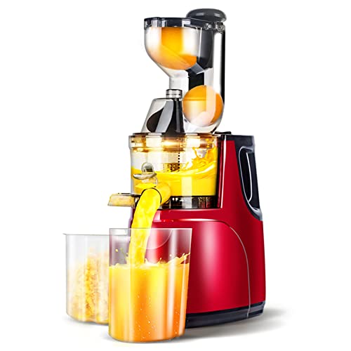 Household Juicer